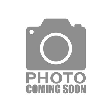 Camera placeholder icon with the words 'Photo Coming Soon' indicating a missing image